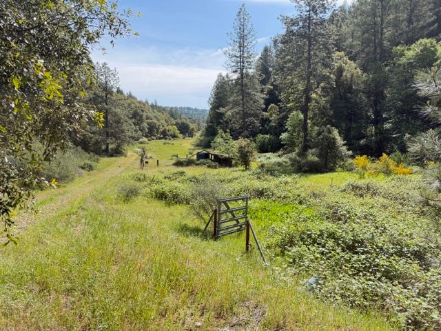 22460 Canyon Way Colfax, CA 95713 - Photo 3 of 70