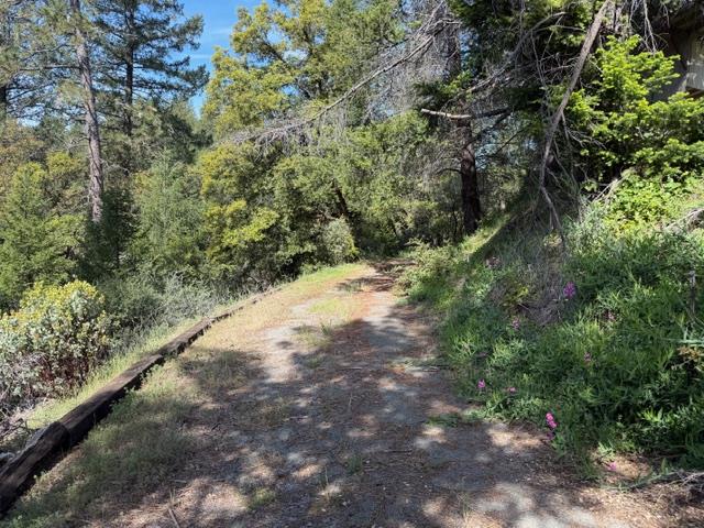 22460 Canyon Way Colfax, CA 95713 - Photo 48 of 70