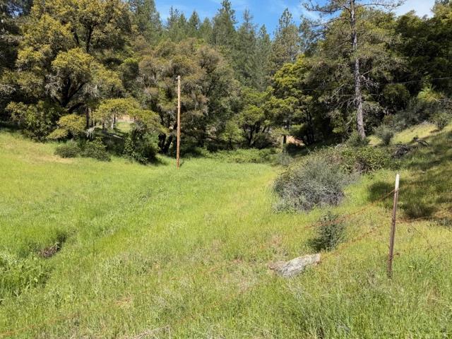 22460 Canyon Way Colfax, CA 95713 - Photo 63 of 70