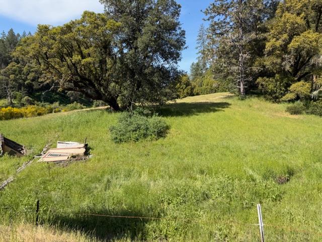 22460 Canyon Way Colfax, CA 95713 - Photo 64 of 70