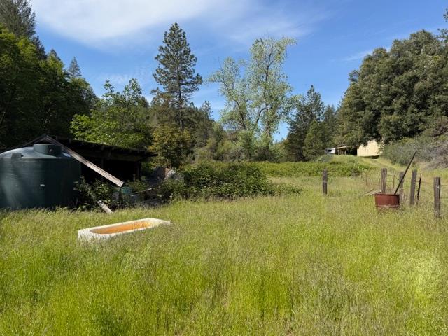 22460 Canyon Way Colfax, CA 95713 - Photo 66 of 70