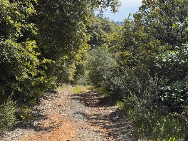 22460 Canyon Way Colfax, CA 95713 - Photo 67 of 70