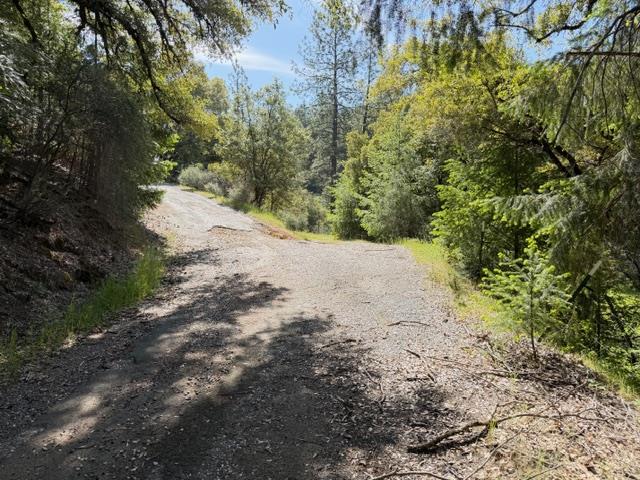 22460 Canyon Way Colfax, CA 95713 - Photo 69 of 70