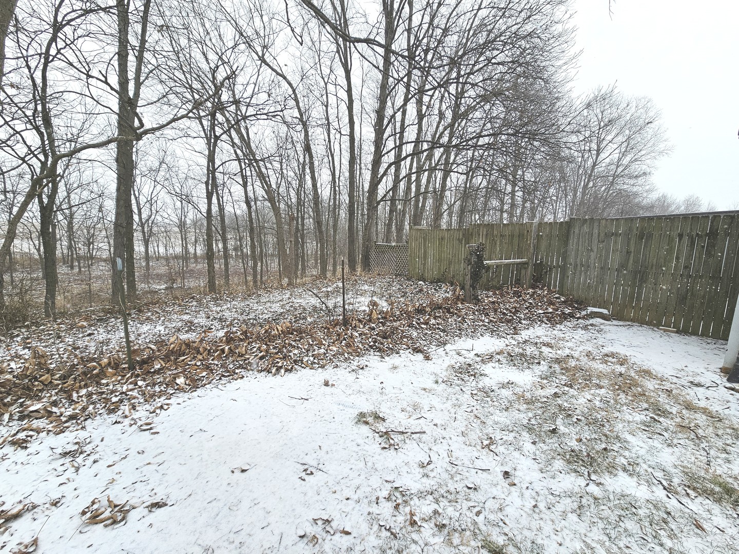 8750 North Brehm Lane Belle Rive, IL 62810 - Photo 11 of 54