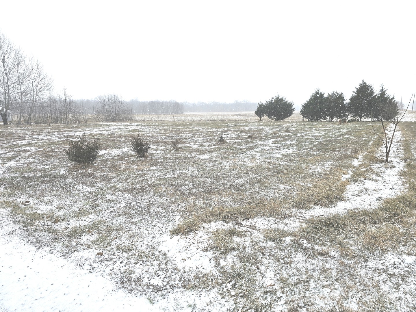 8750 North Brehm Lane Belle Rive, IL 62810 - Photo 13 of 54