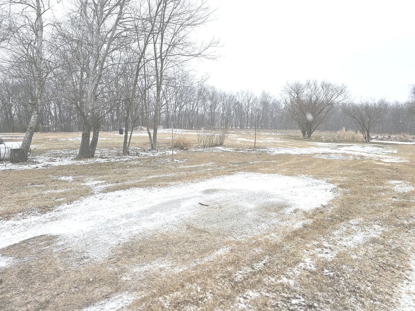 8750 North Brehm Lane Belle Rive, IL 62810 - Photo 9 of 54