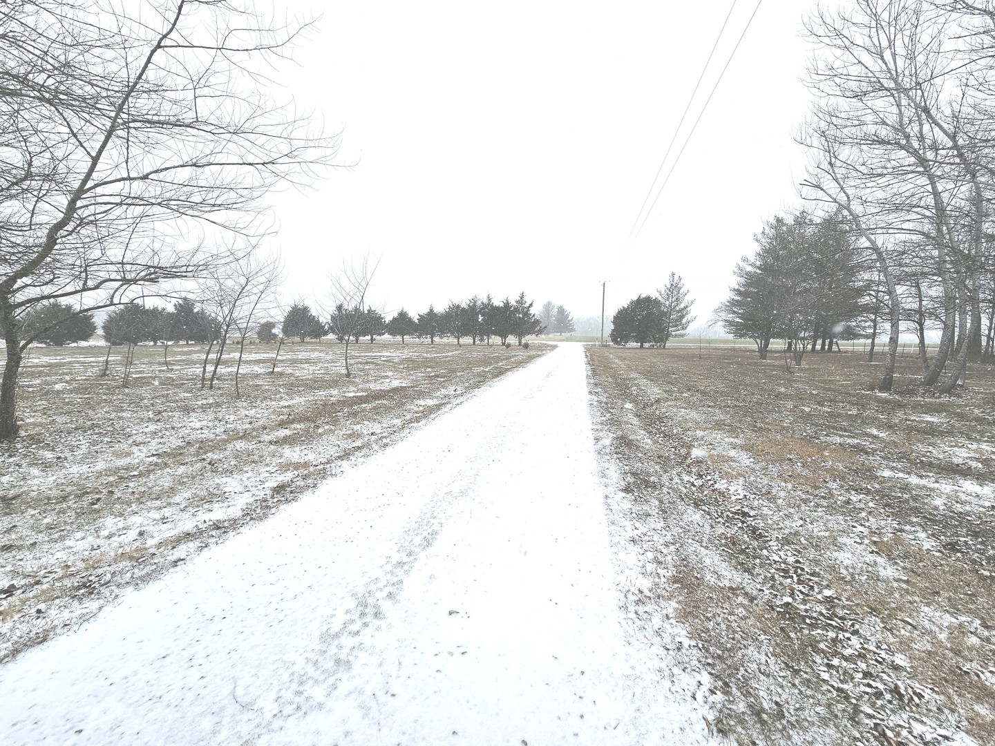 8750 North Brehm Lane Belle Rive, IL 62810 - Photo 10 of 54