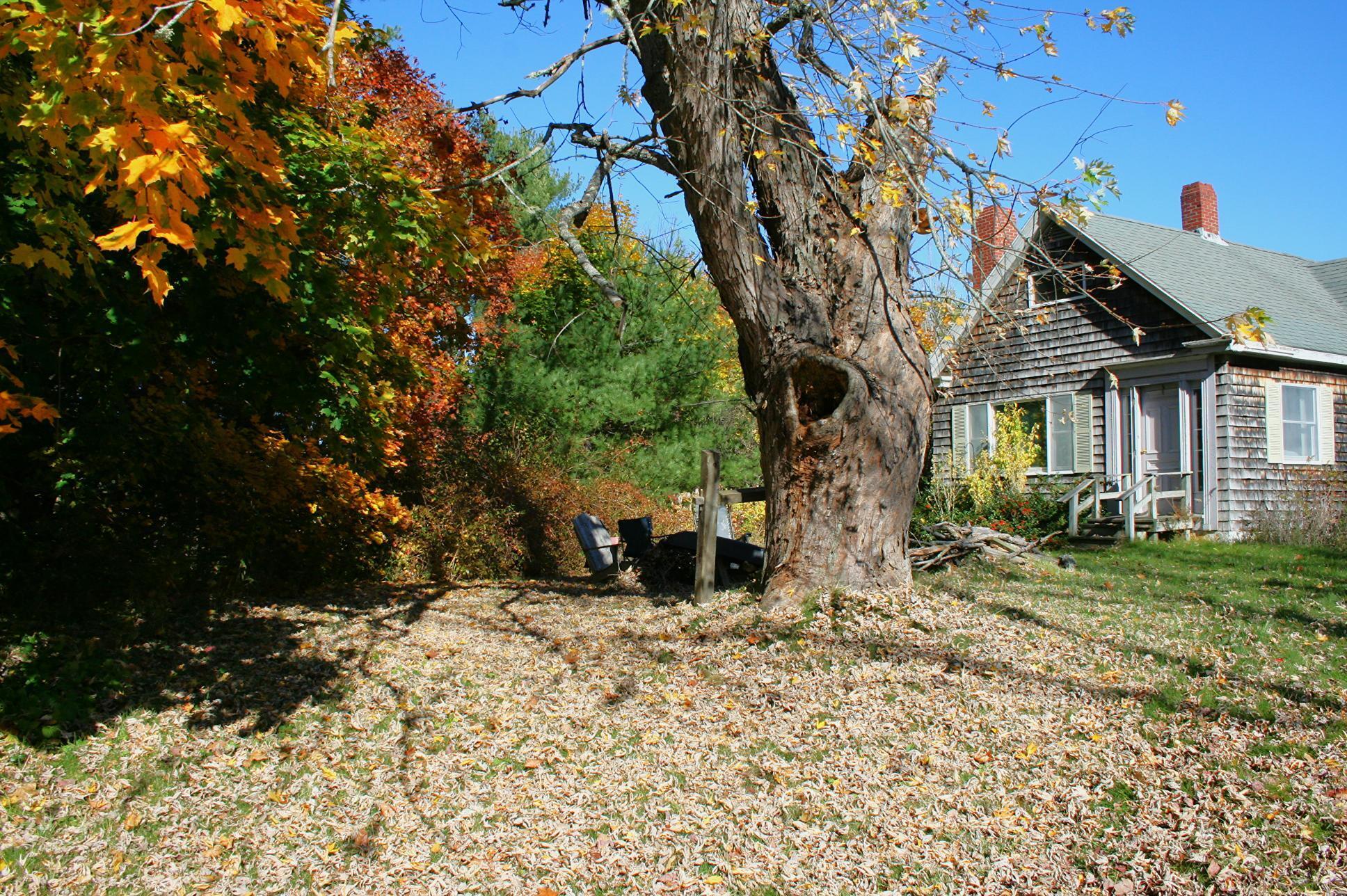 1349 Wagner Bridge Road Waldoboro, ME 04572 - Photo 43 of 50 IMG_9945