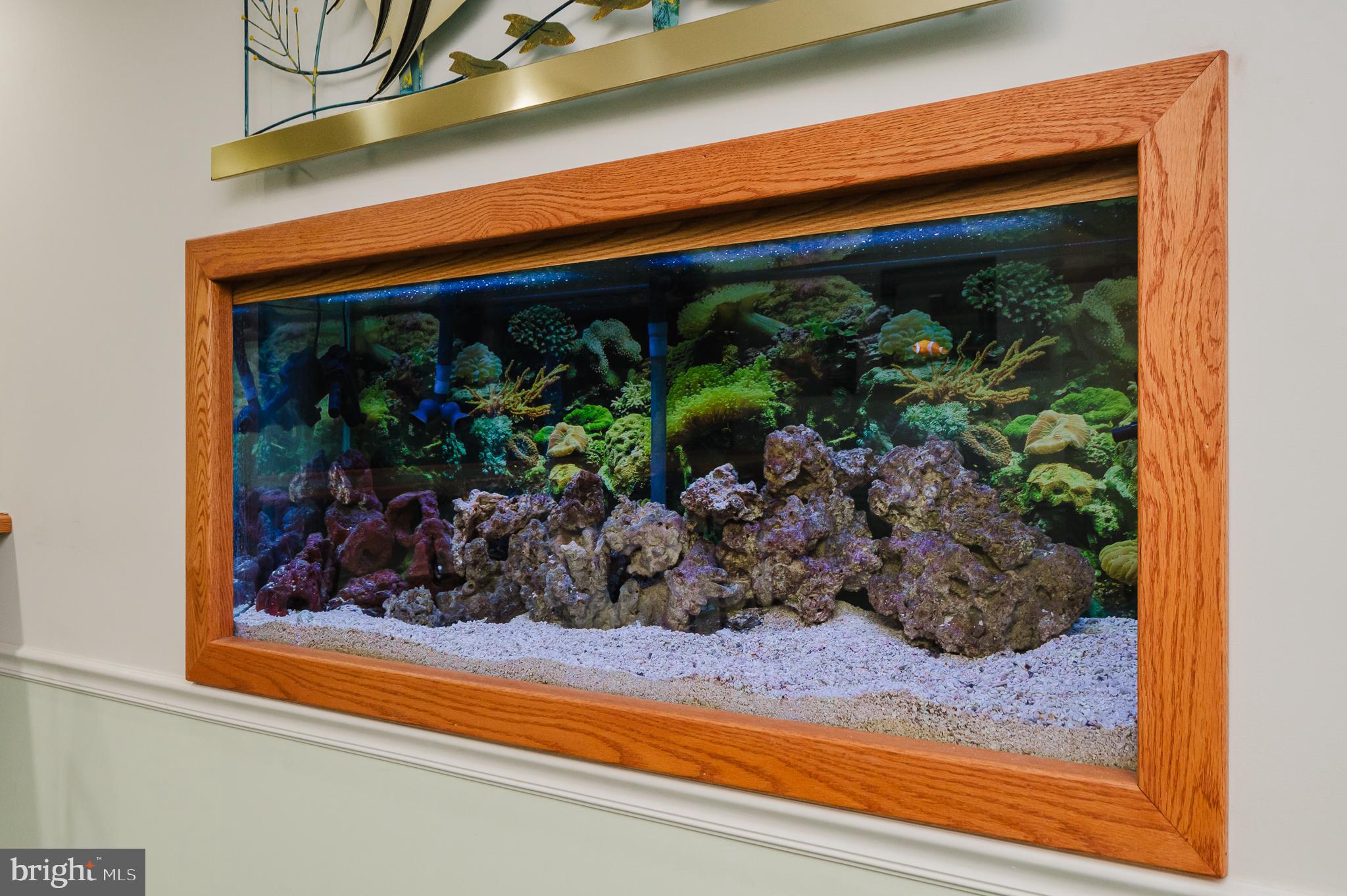 2925 Baldwin Mill Road Baldwin, MD 21013 - Photo 18 of 51 Built-in Aquarium