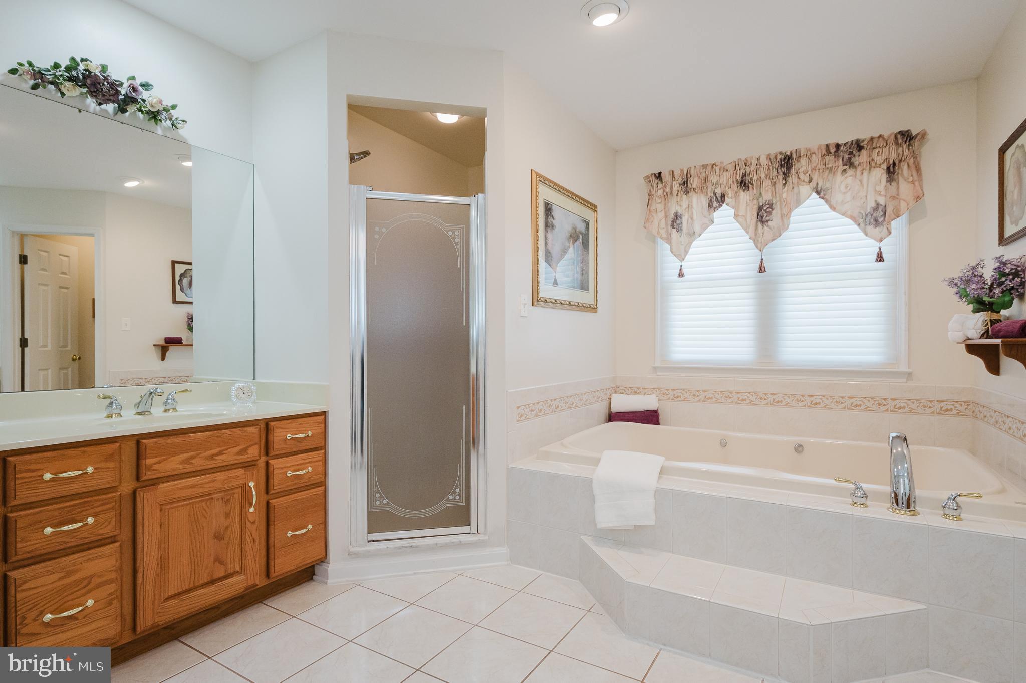 2925 Baldwin Mill Road Baldwin, MD 21013 - Photo 25 of 51 Primary Spa Bath