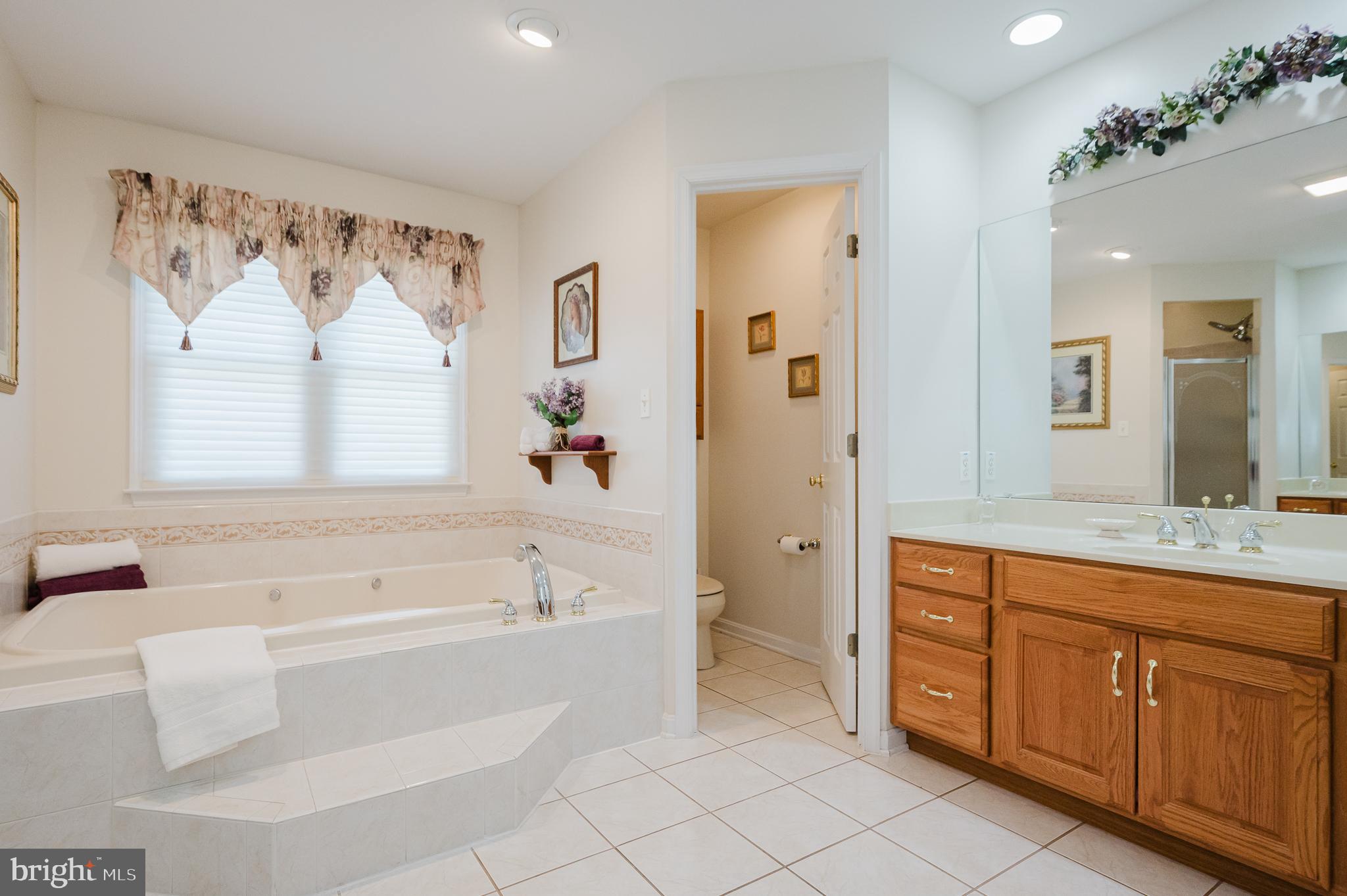 2925 Baldwin Mill Road Baldwin, MD 21013 - Photo 27 of 51 Primary Spa Bath