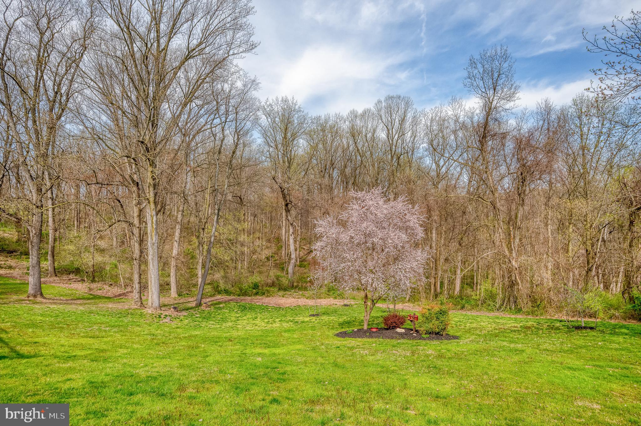 2925 Baldwin Mill Road Baldwin, MD 21013 - Photo 49 of 51 Beautiful yard !