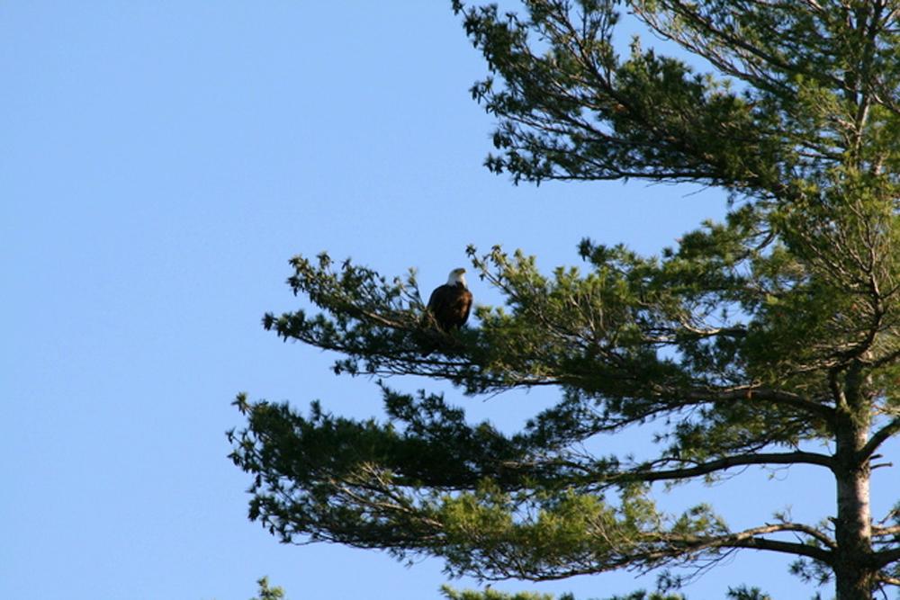 1864 Flowage Road Park Falls, WI 54552 - Photo 37 of 67 Gallery Image 37
