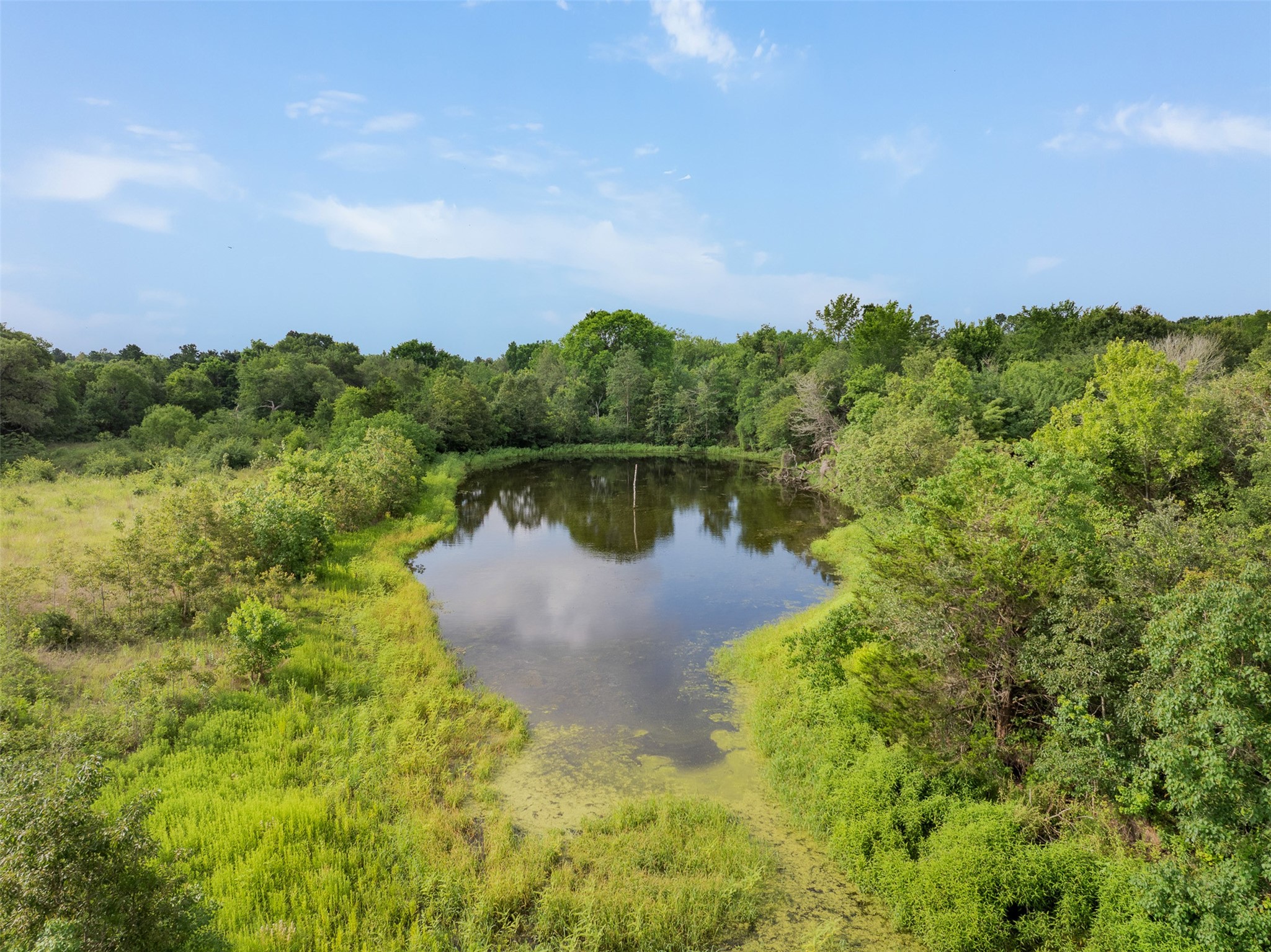 1338 Highway 237 Round Top, TX 78954 - Photo 3 of 16