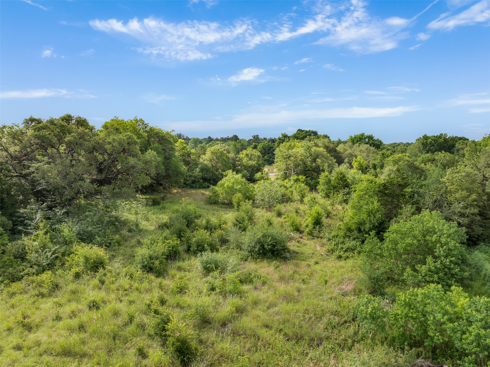 1338 Highway 237 Round Top, TX 78954 - Photo 5 of 16