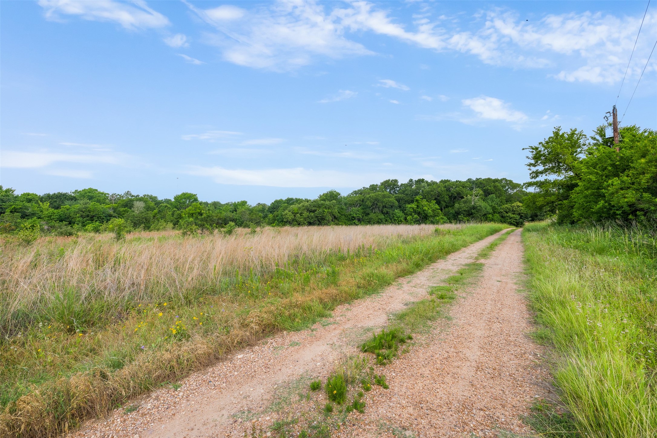 1338 Highway 237 Round Top, TX 78954 - Photo 6 of 16