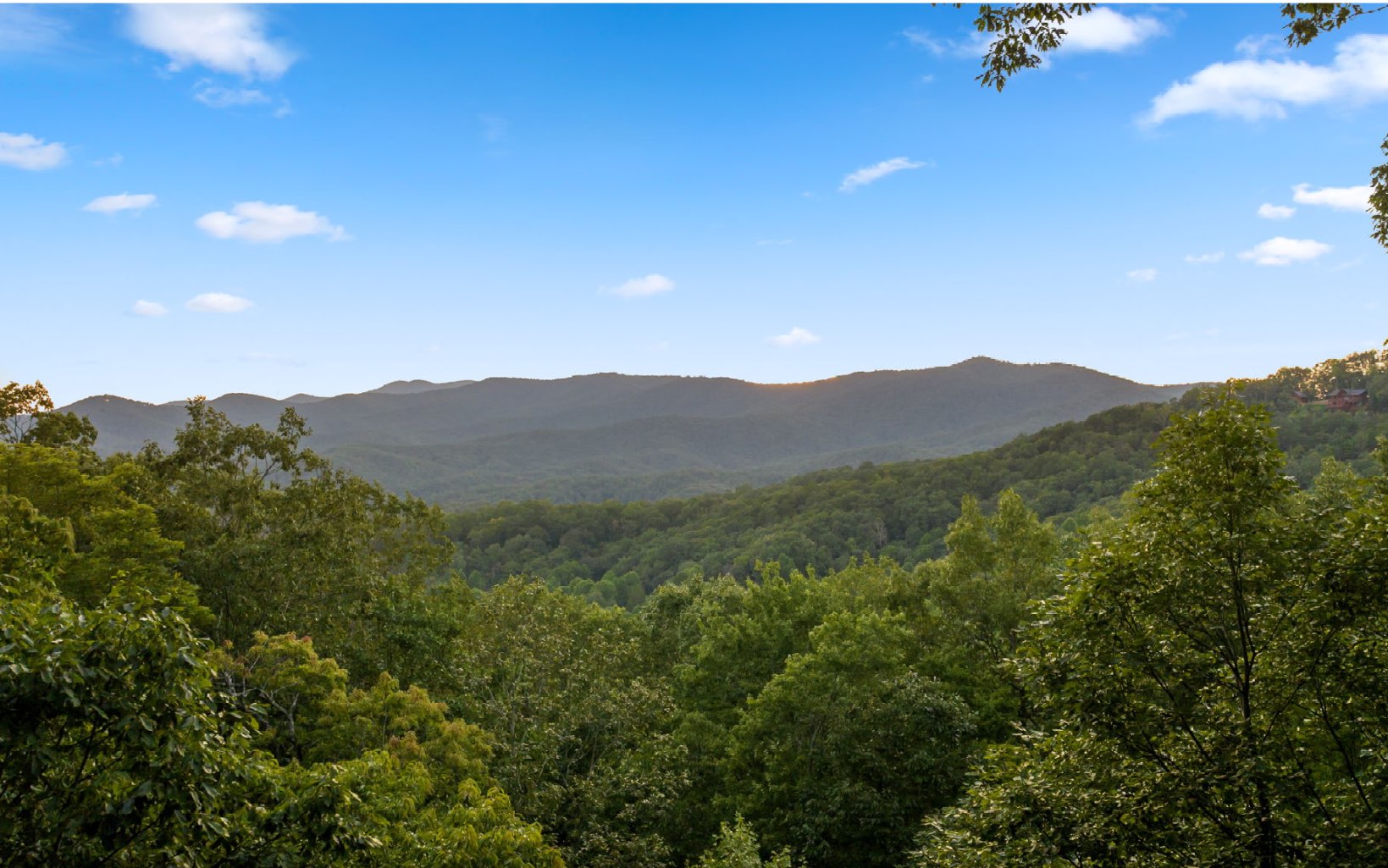 29 Maggie Chapman Road Blue Ridge, GA 30513 - Photo 28 of 40 a view of a lush green field with mountains in the background