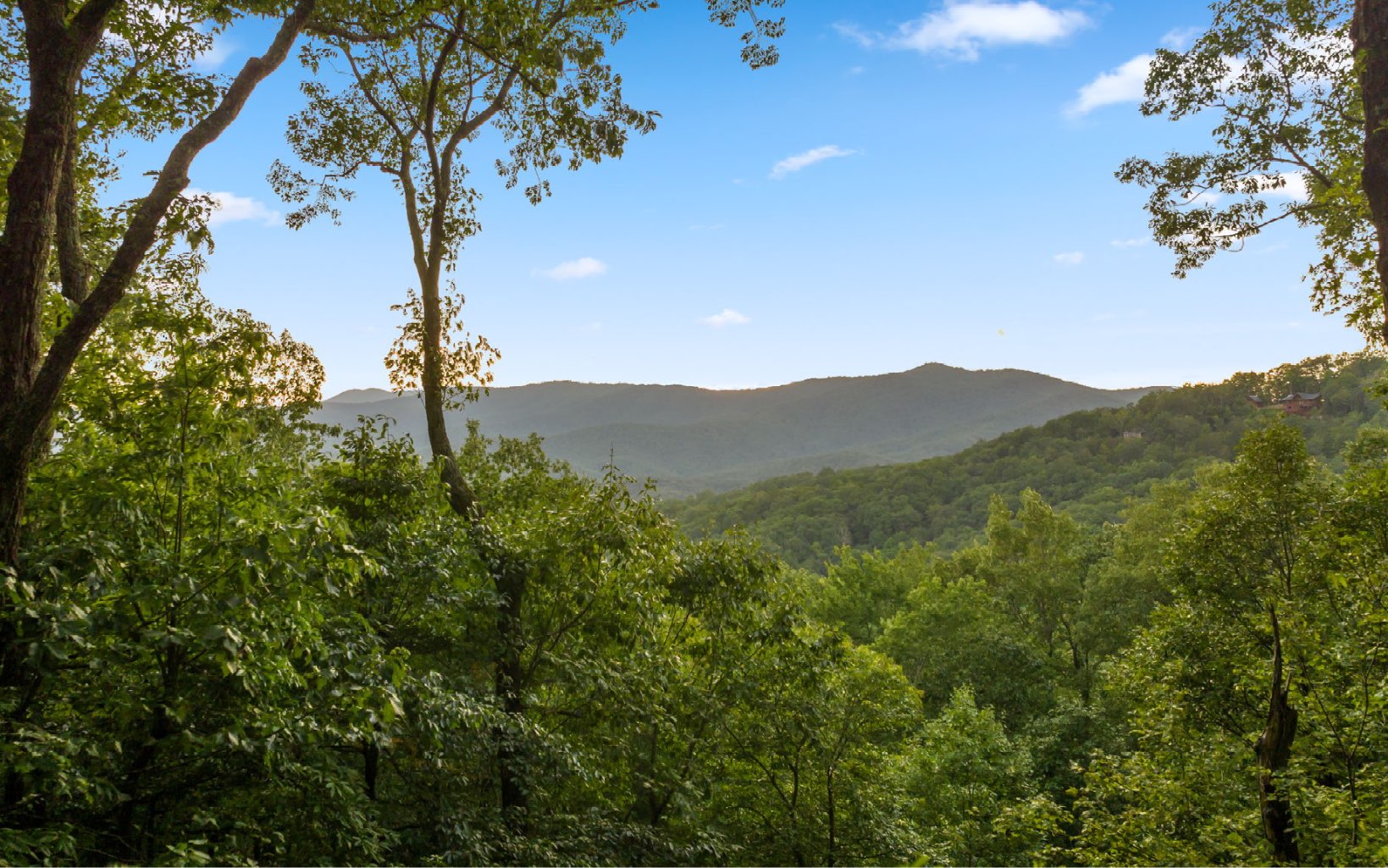 29 Maggie Chapman Road Blue Ridge, GA 30513 - Photo 30 of 40 a view of a mountain
