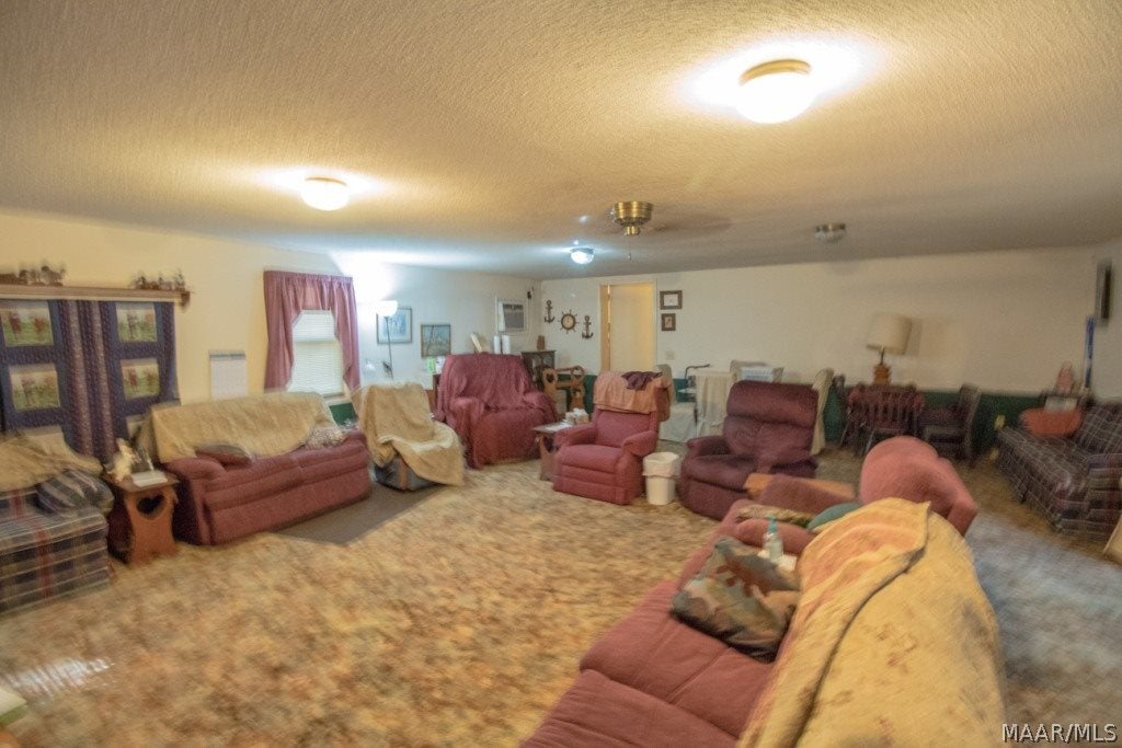 726 Spring Creek Road Geneva, AL 36340 - Photo 16 of 34 Gallery Image 16