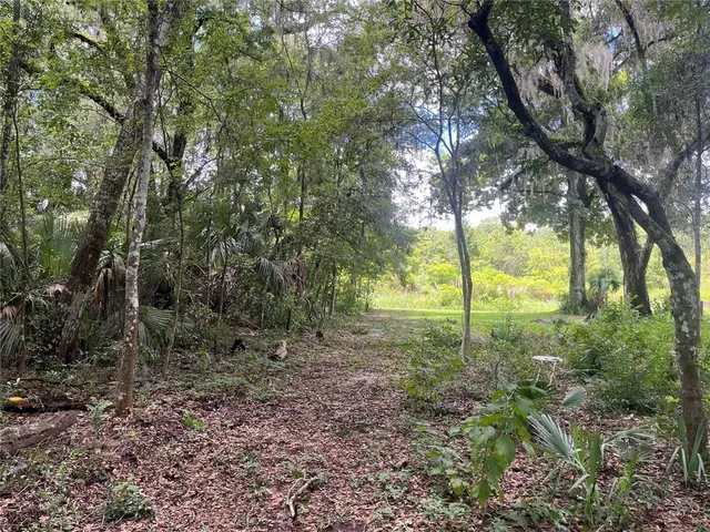 a view of outdoor space and trees