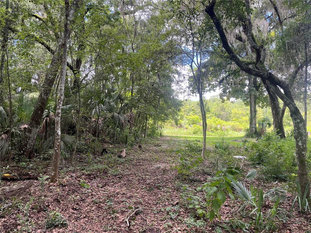 65th Street Ocala, FL 34475 - Photo 5 of 7 a view of outdoor space and trees