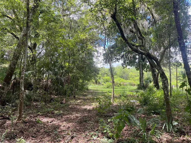 a view of a garden with a tree