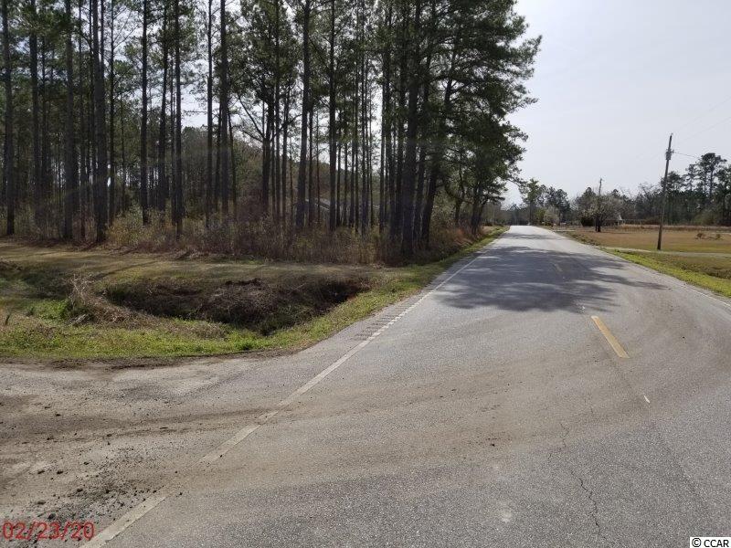 2910 Bullard Road Hemingway, SC 29554 - Photo 20 of 23
