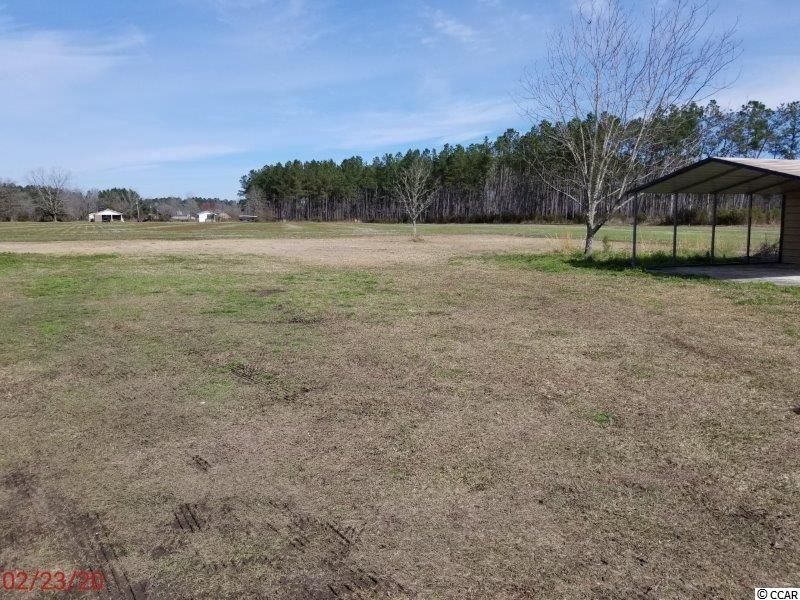 2910 Bullard Road Hemingway, SC 29554 - Photo 21 of 23