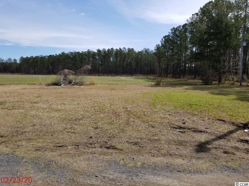 2910 Bullard Road Hemingway, SC 29554 - Photo 23 of 23