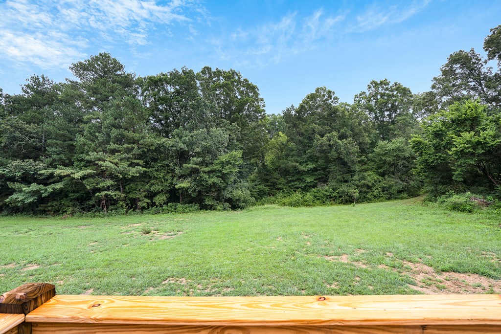 5230 Apison Road Northwest Cohutta, GA 30710 - Photo 38 of 47