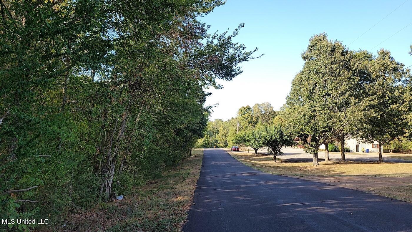 Sandy Betts Road Nesbit, MS 38651 - Photo 4 of 5 4 Ahsan Jalil