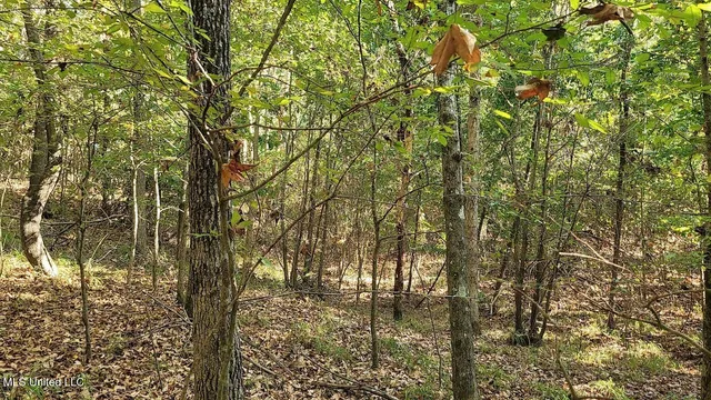 $159,900 | Sandy Betts Road, Nesbit, MS 38651