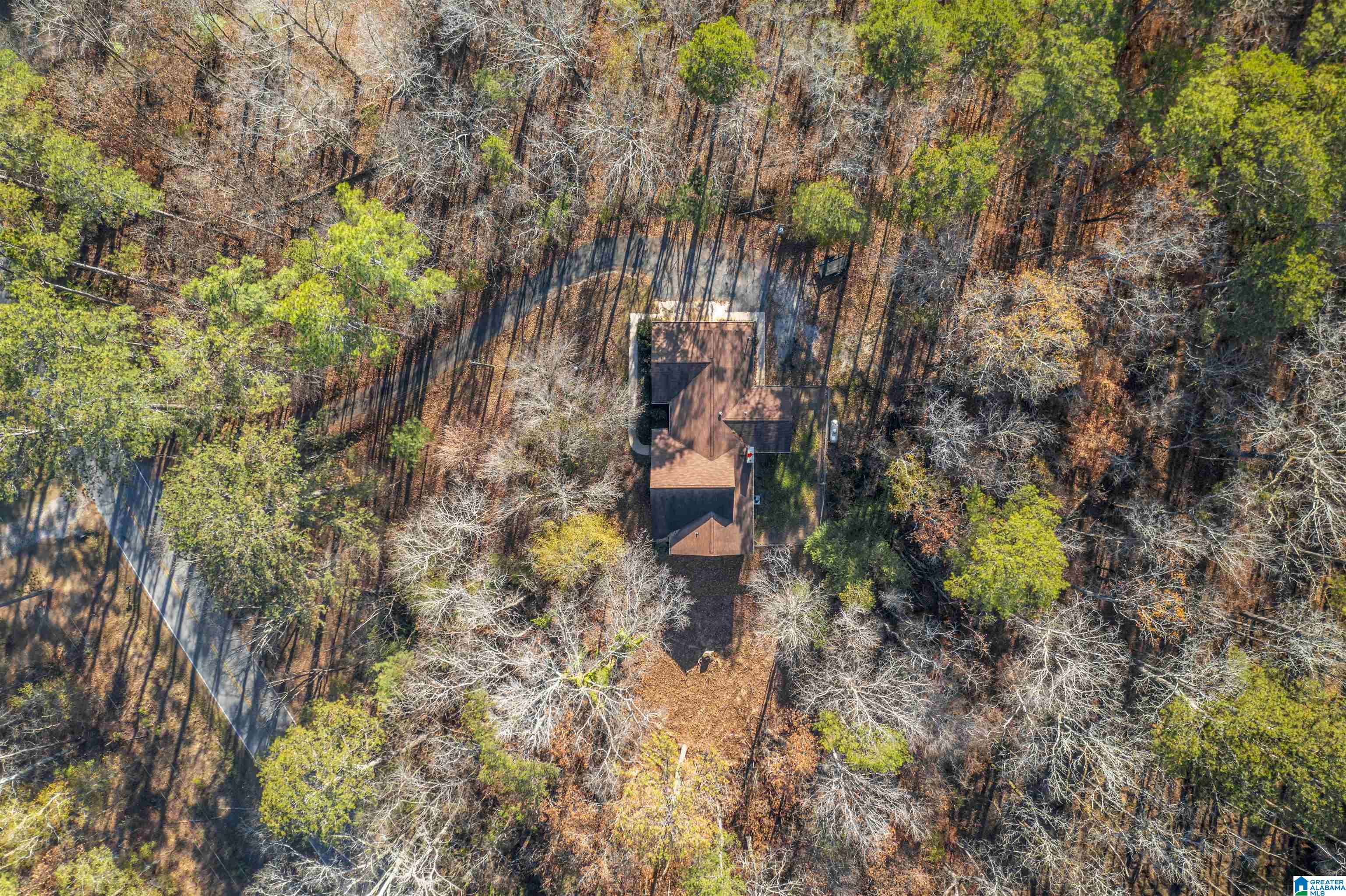 389 Cherokee Trail Ohatchee, AL 36271 - Photo 5 of 23