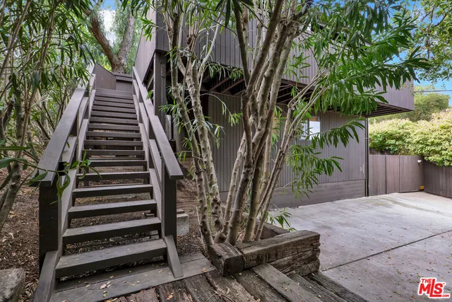 a view of a yard with a plants