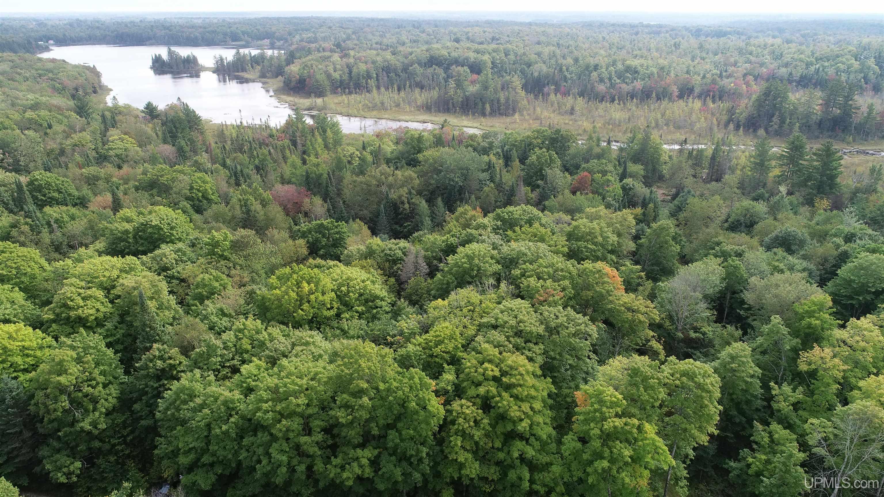Tbd North Tbd N Powerline Road Germfask, MI 49836 - Photo 16 of 29