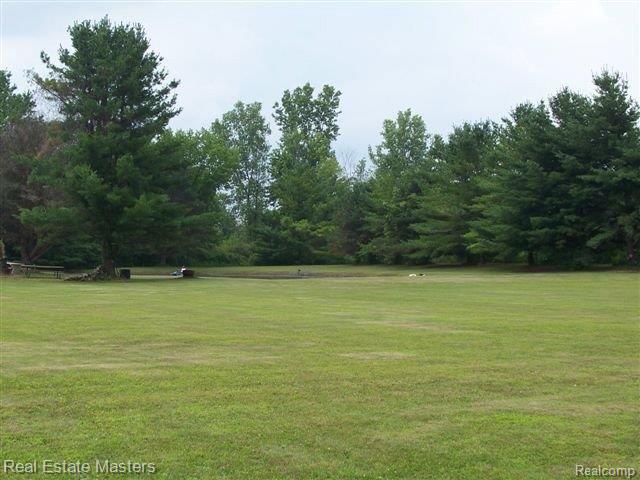 7417 Phillips Road North Street, MI 48049 - Photo 18 of 20 YARD
