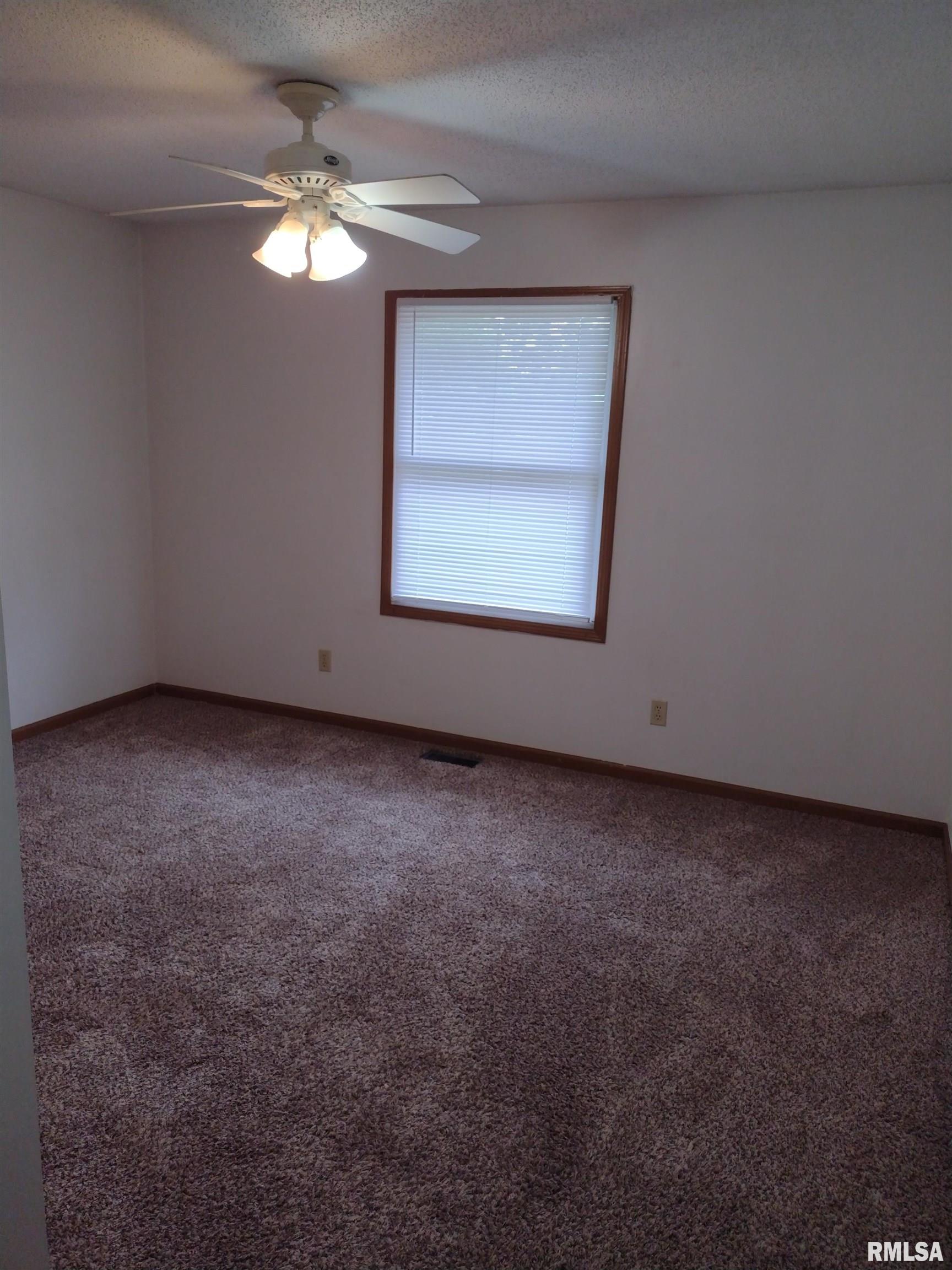 555 East Madison Street Riverton, IL 62561 - Photo 14 of 14