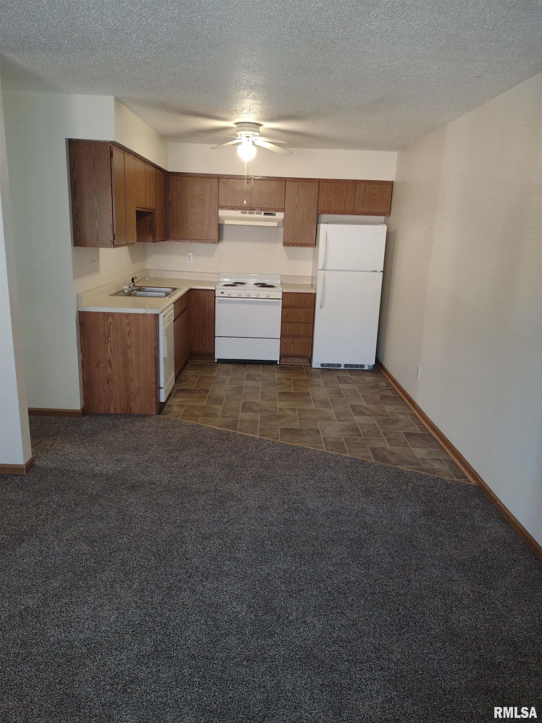 555 East Madison Street Riverton, IL 62561 - Photo 7 of 14