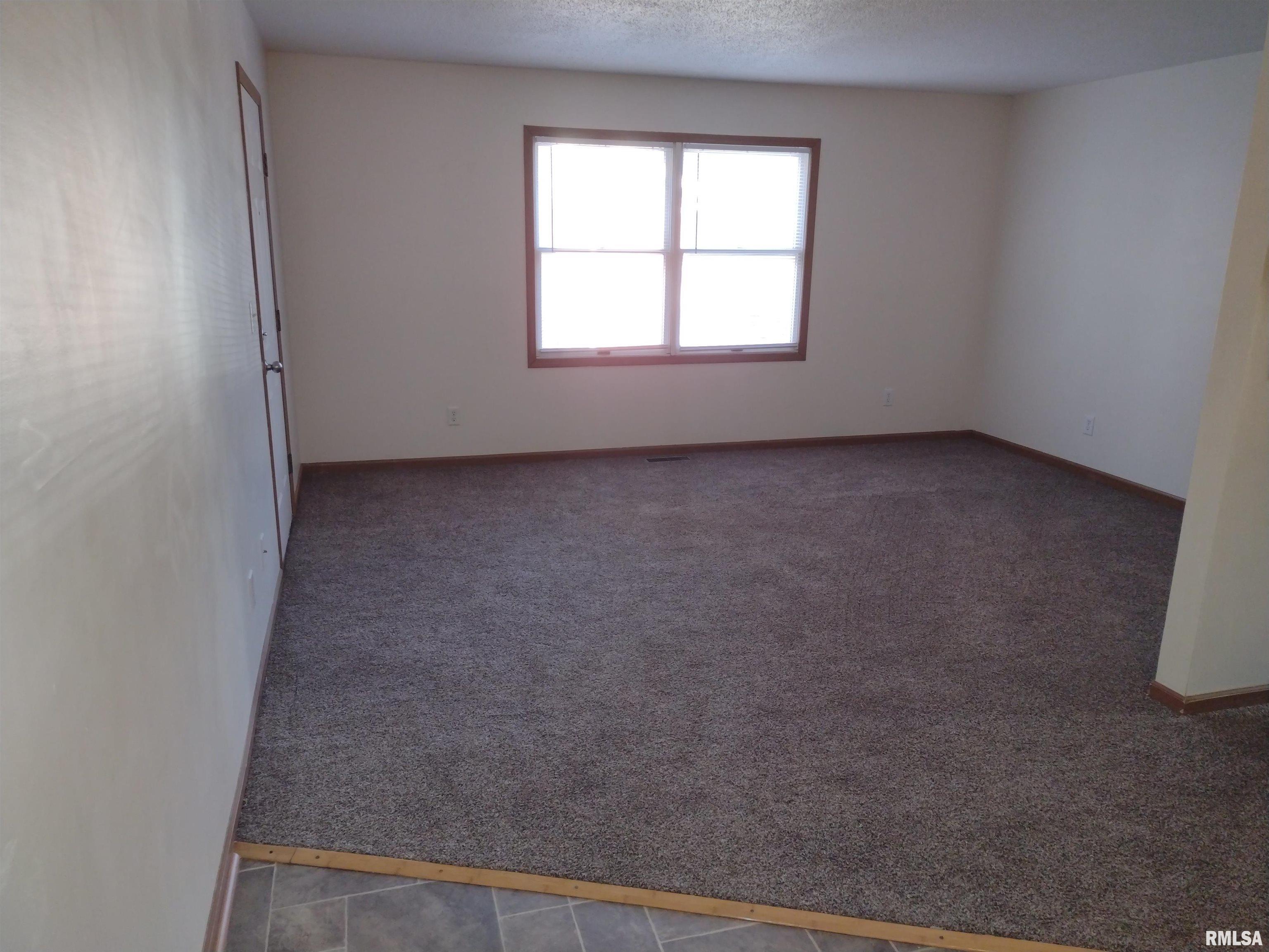 555 East Madison Street Riverton, IL 62561 - Photo 8 of 14