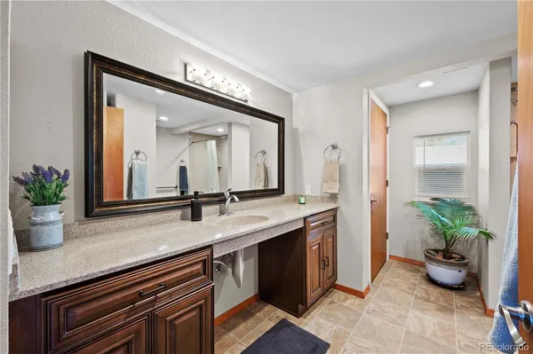 a bathroom with a potted plant and a sink
