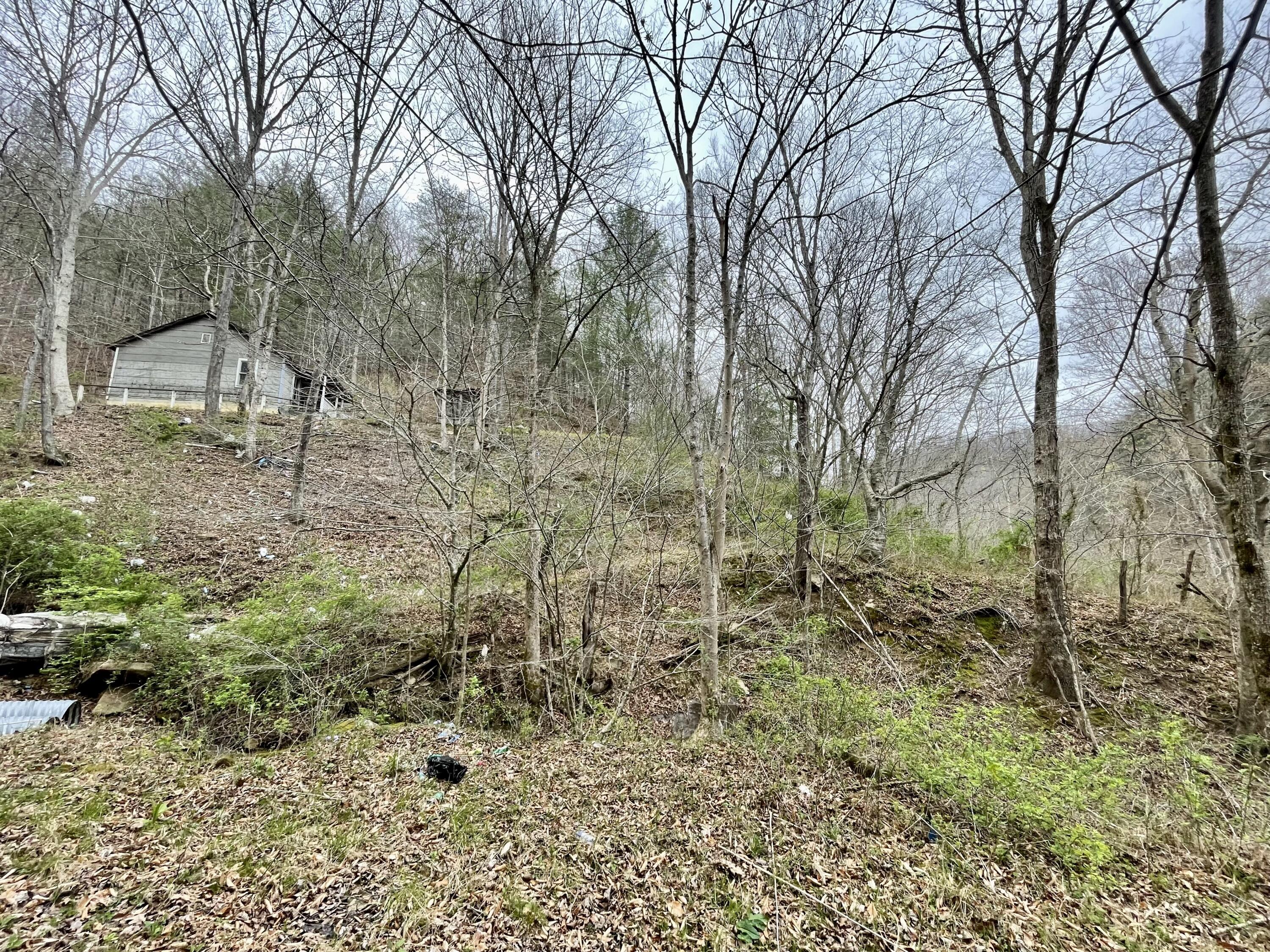 616 Honeysuckle Road Essie, KY 40827 - Photo 3 of 4 7C007975-6735-4477-90B2-3496E22DEBFD