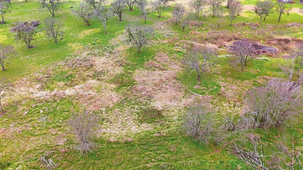 1401 South Walnut Street Cleburne, TX 76033 - Photo 12 of 23 a view of a garden