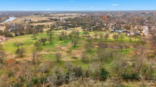 a view of a yard with yellow plants