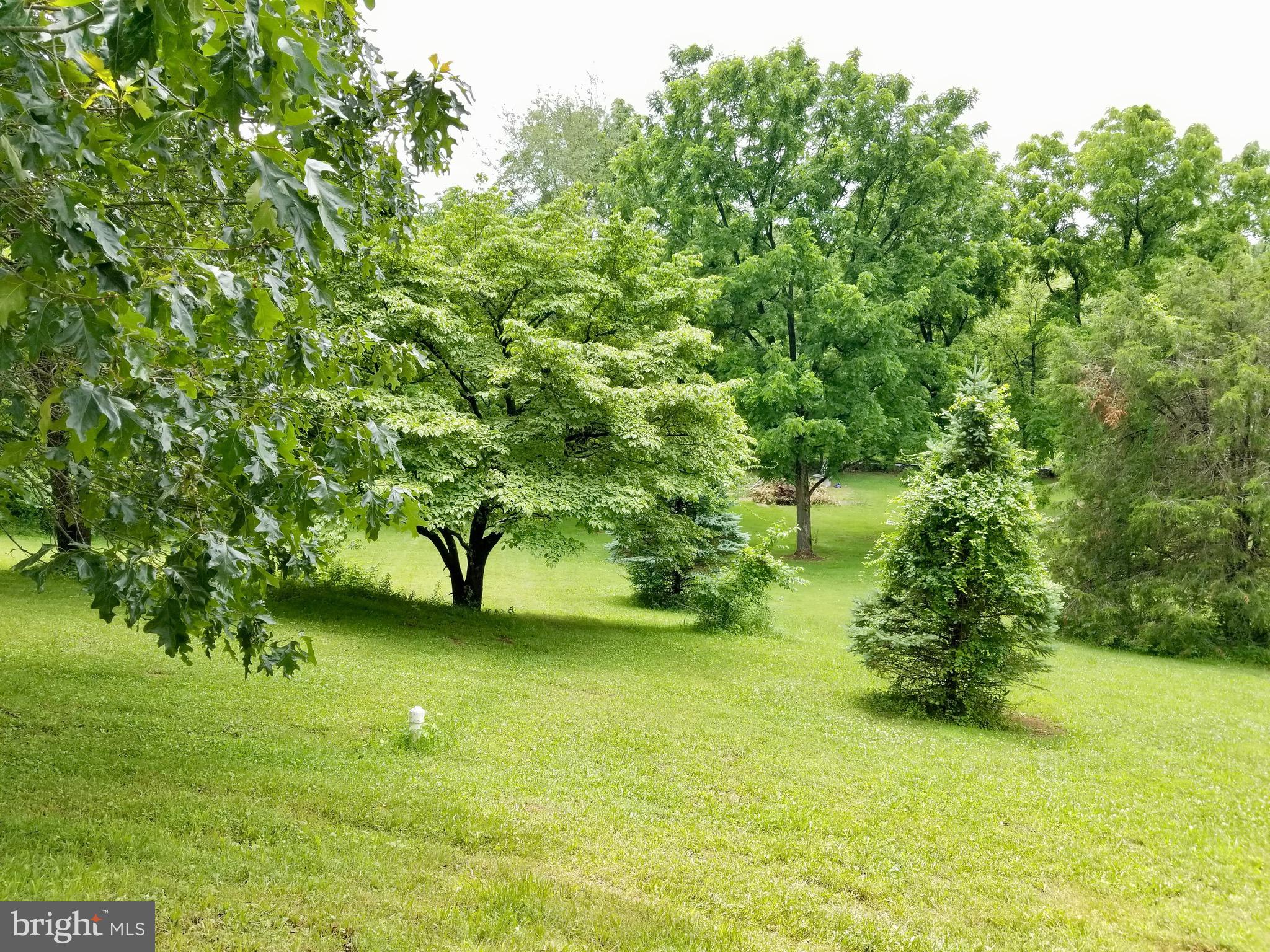 345 Grade Road Falling Waters, WV 25419 - Photo 37 of 41