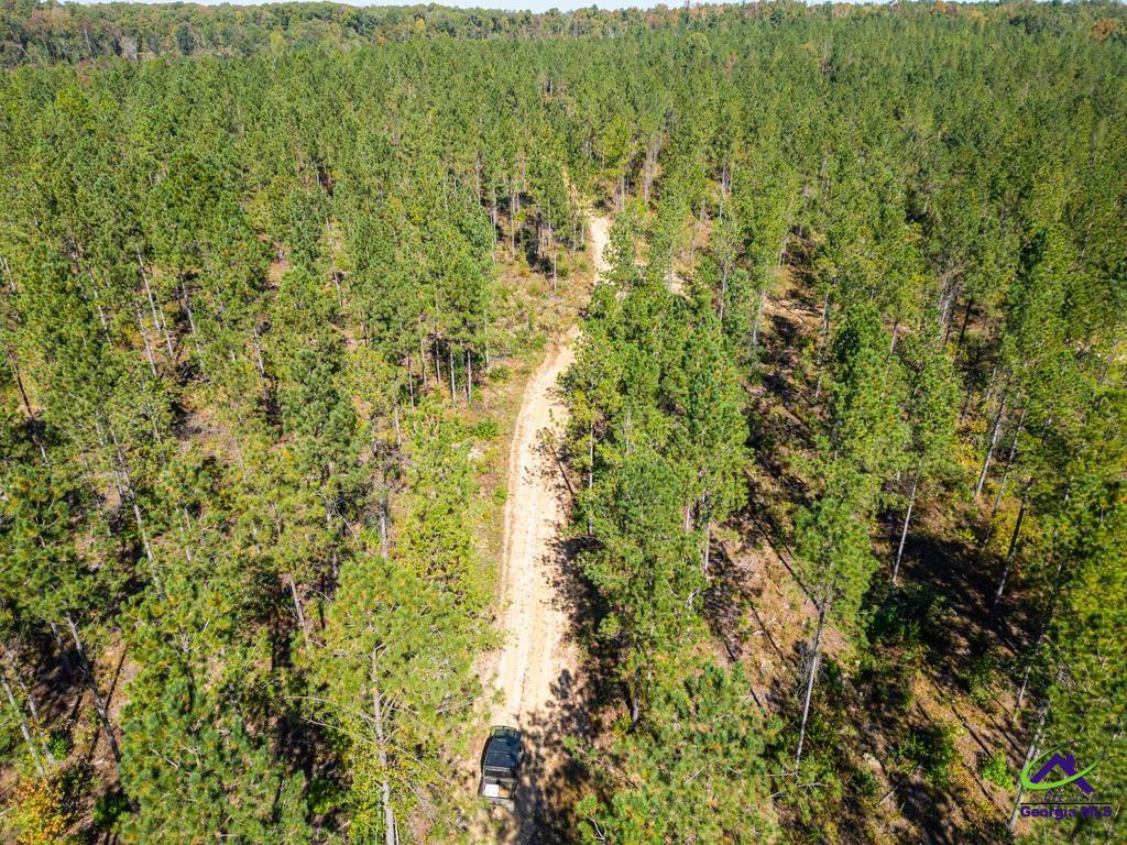 Ohp Dominy Road Toomsboro, GA 31090 - Photo 18 of 24