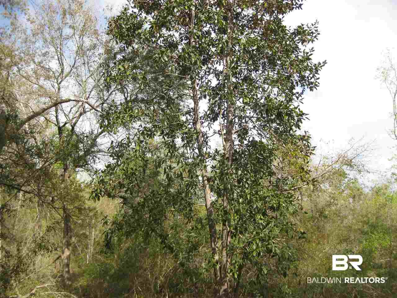 14131 County Road 9 Foley, AL 36535 - Photo 5 of 6