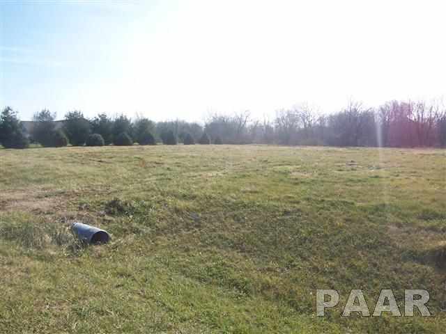 391 Claytons Way Metamora, IL 61548 - Photo 1 of 10 Gallery Image 1