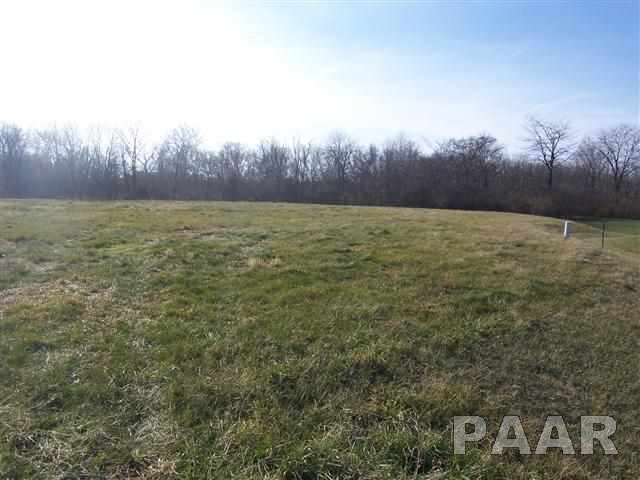 391 Claytons Way Metamora, IL 61548 - Photo 4 of 10 Gallery Image 4