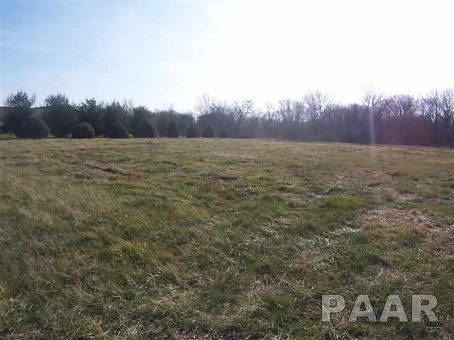391 Claytons Way Metamora, IL 61548 - Photo 6 of 10 Gallery Image 6