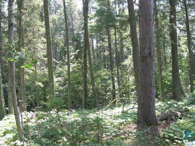 87875 W Road Herbster, WI 54844 - Photo 21 of 25 Gallery Image 21